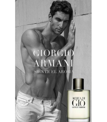 Giorgio Armani Acqua Di Gio EDT 100 ml Erkek Parfüm