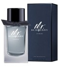 Burberry Mr. Burberry Indıgo EDT 100 ml Erkek Parfüm